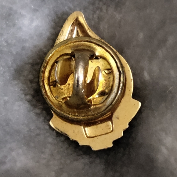 Vintage Blood Donor 2 Gallon Lapel pin - Picture 3 of 4